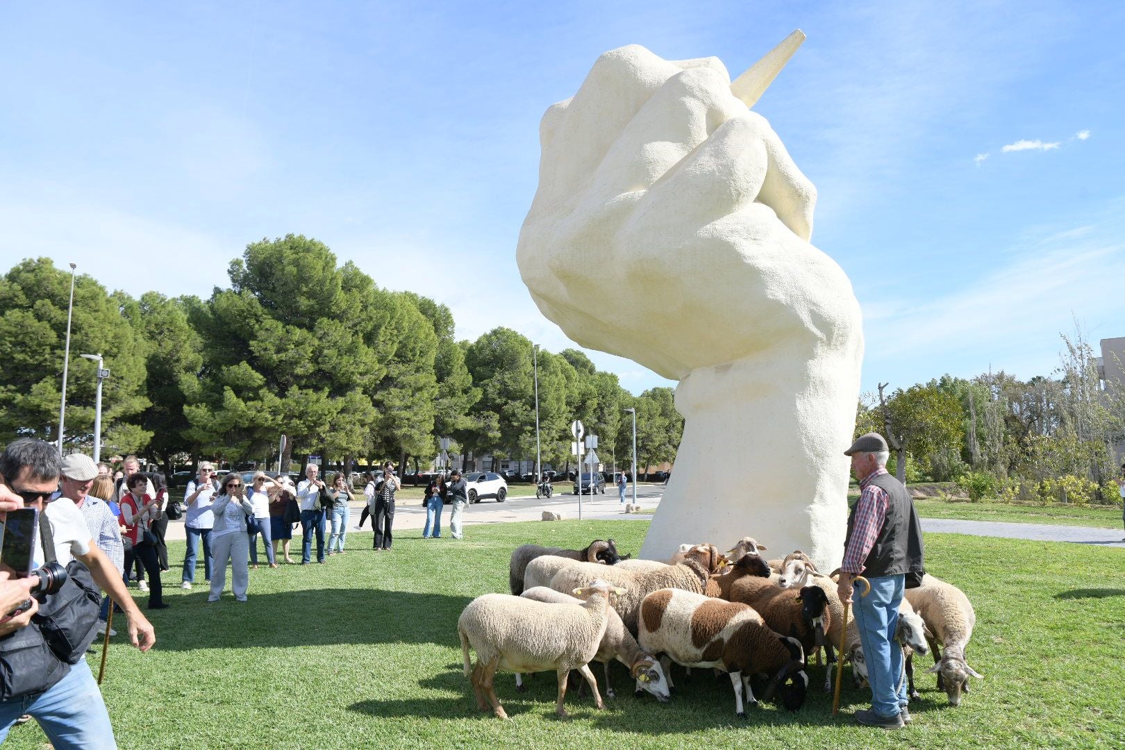 De la Cañada Real al aula magna: las ovejas toman la Universidad de Alicante por la ruta de la trashumancia