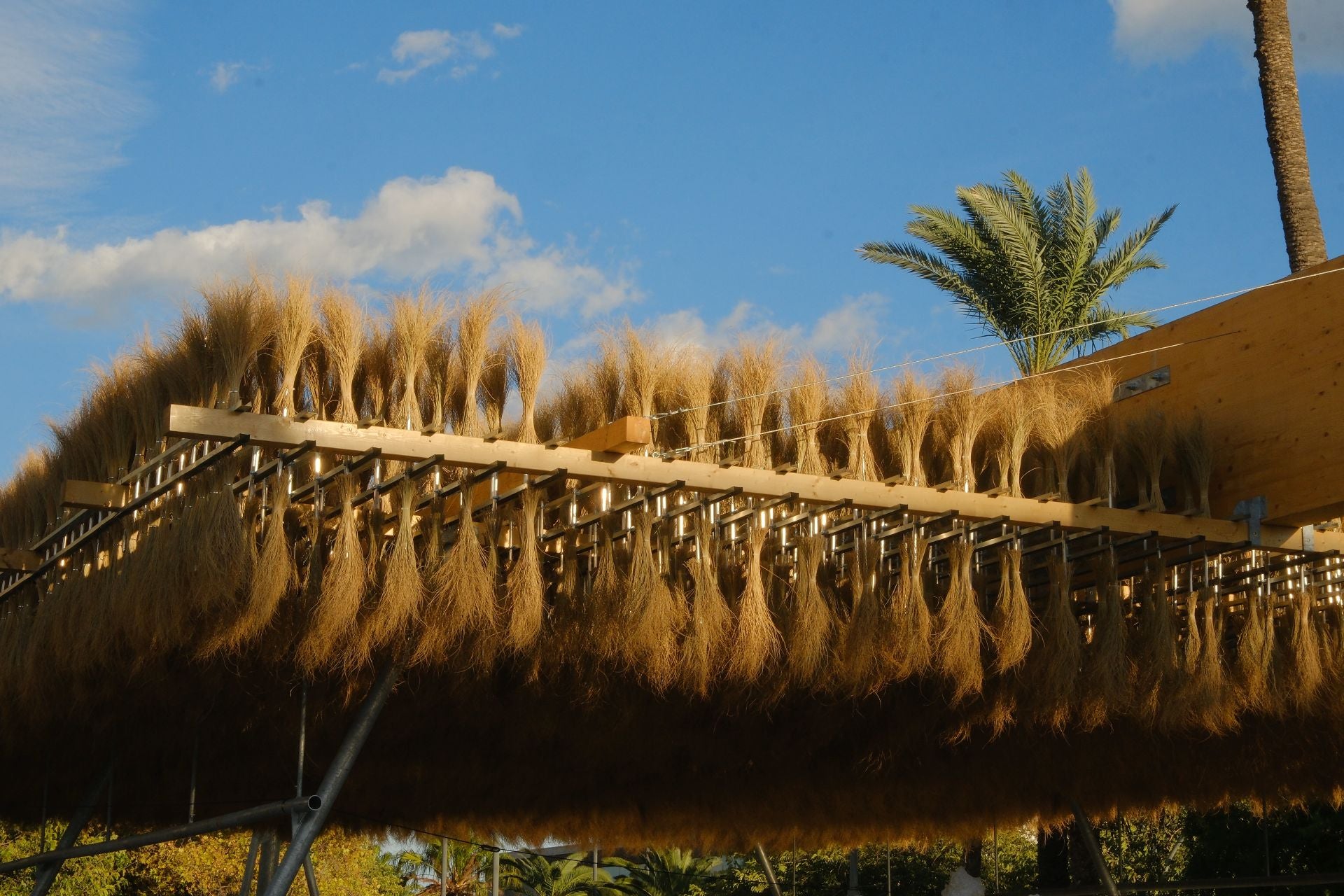 Arte con fecha de caducidad en Alicante