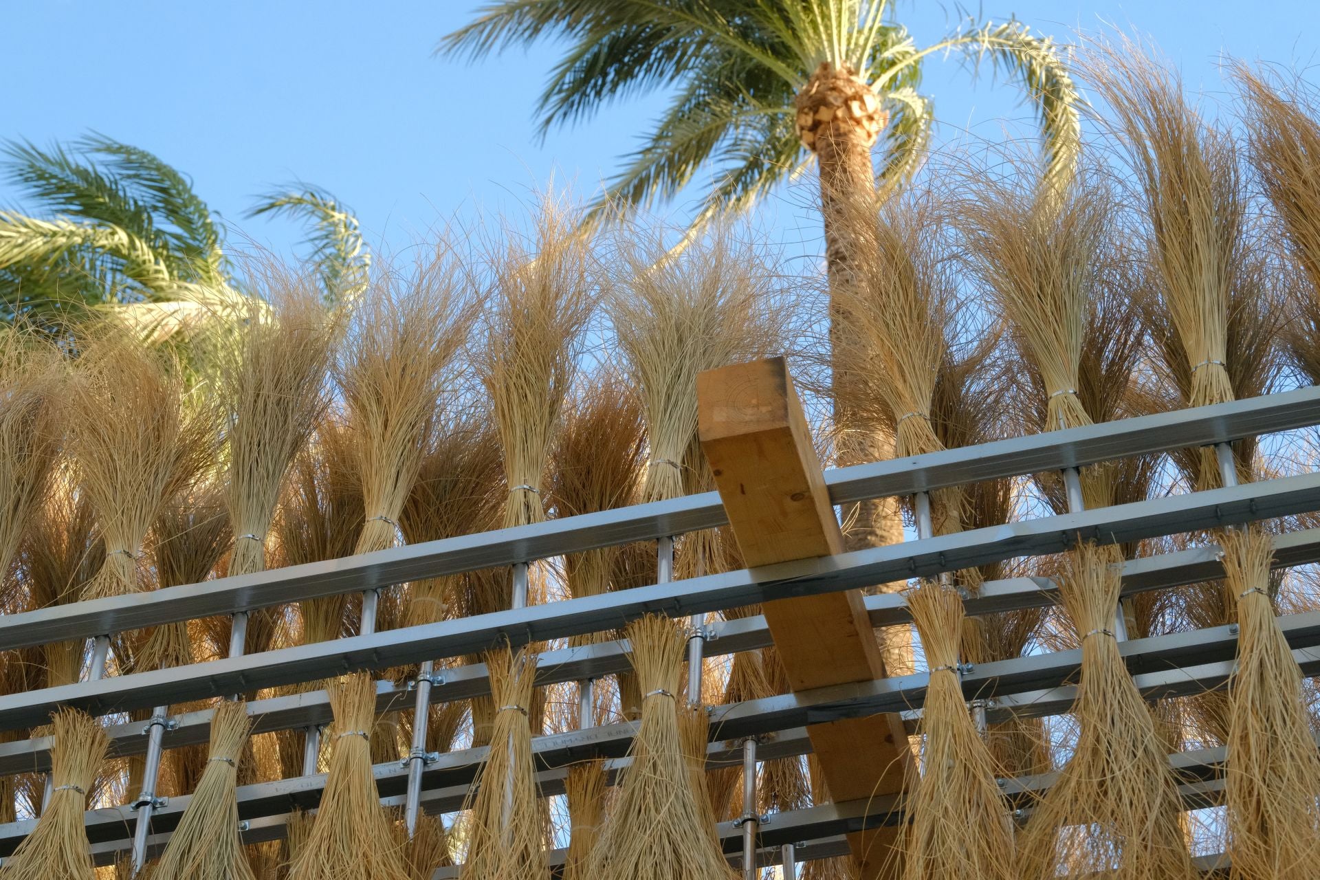 Arte con fecha de caducidad en Alicante