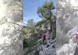 Rescate protagonizado por los bomberos este jueves en Alcoi.