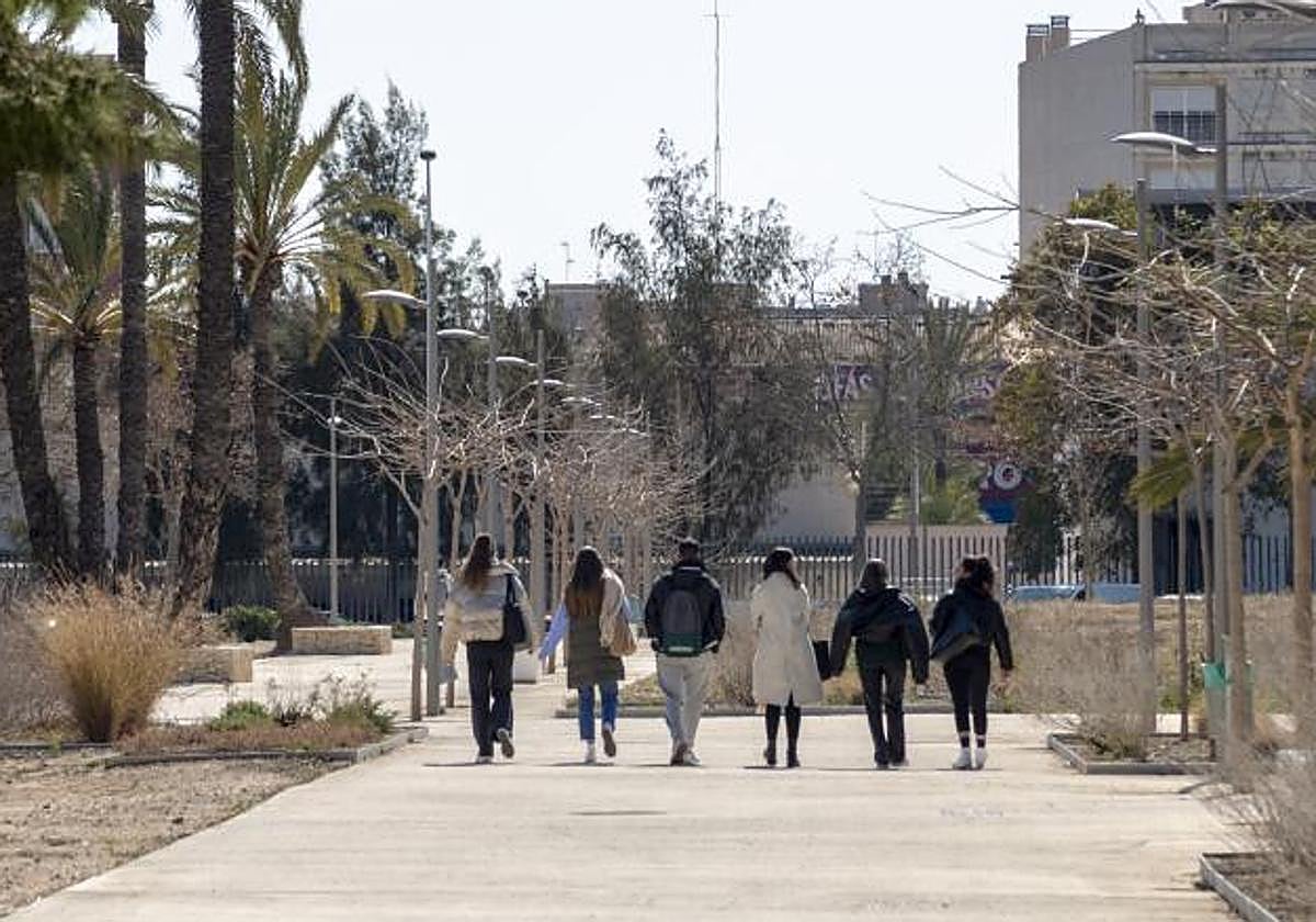 La UMH lanza una nueva edición de sus Cursos de Invierno con 43 propuestas formativas.