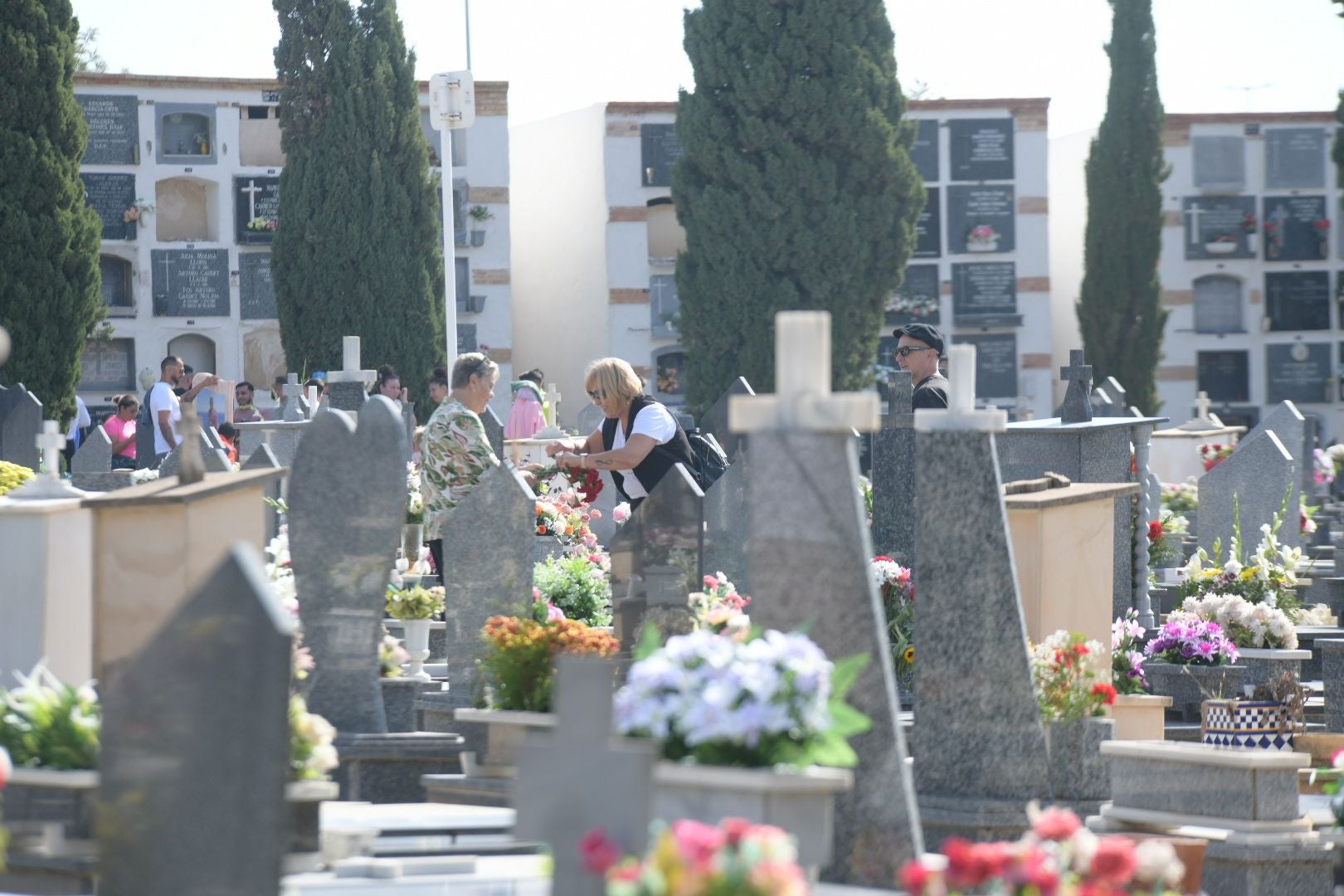 Las flores llenan el cementerio de Alicante en recuerdo de los difuntos