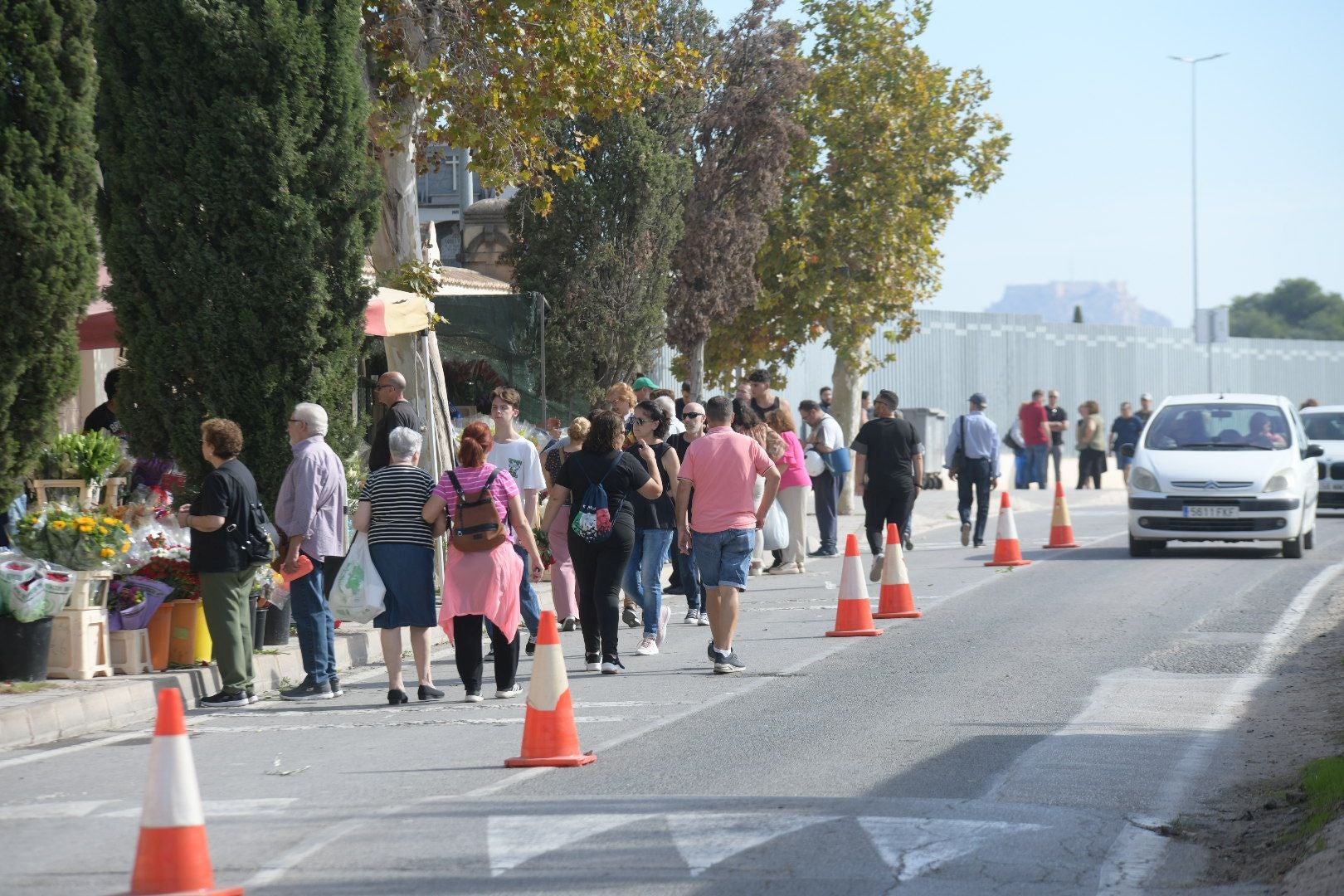 Las flores llenan el cementerio de Alicante en recuerdo de los difuntos