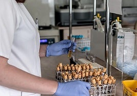 Los Técnicos Superiores Sanitarios son responsables de gran parte de los análisis que se realizan los centros sanitarios.