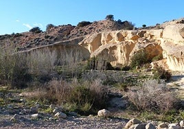 El alcalde de Elche, Pablo Ruz, reprocha a la CHJ la falta de mantenimiento del barranco del Grifo.