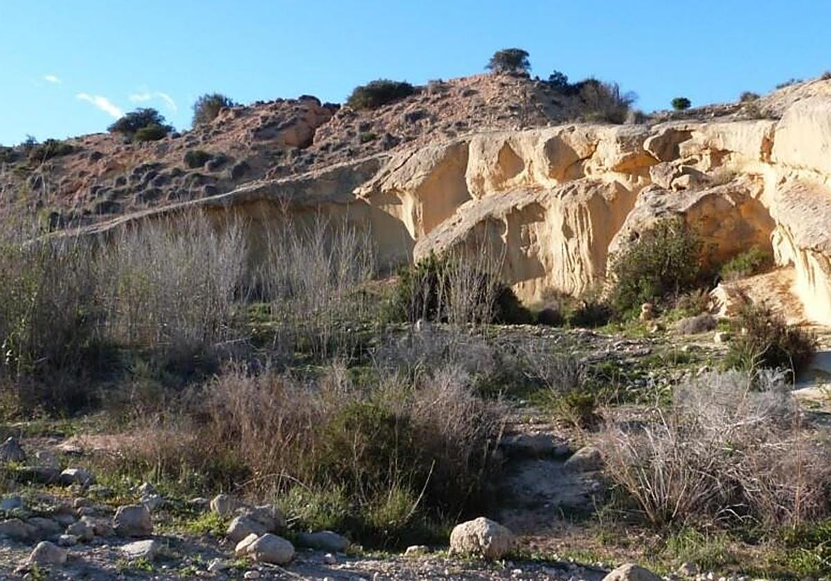 El alcalde de Elche, Pablo Ruz, reprocha a la CHJ la falta de mantenimiento del barranco del Grifo.