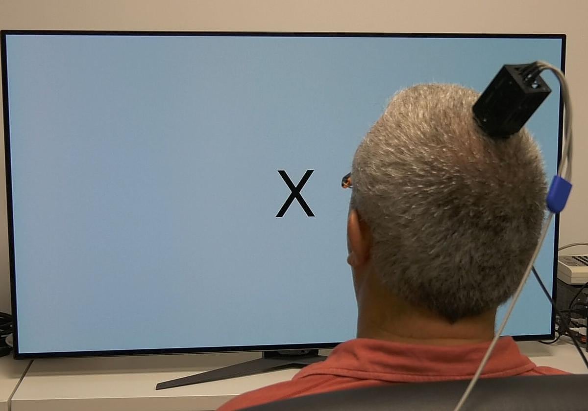 ¿Han descubierto en la UMH la cura contra la ceguera?