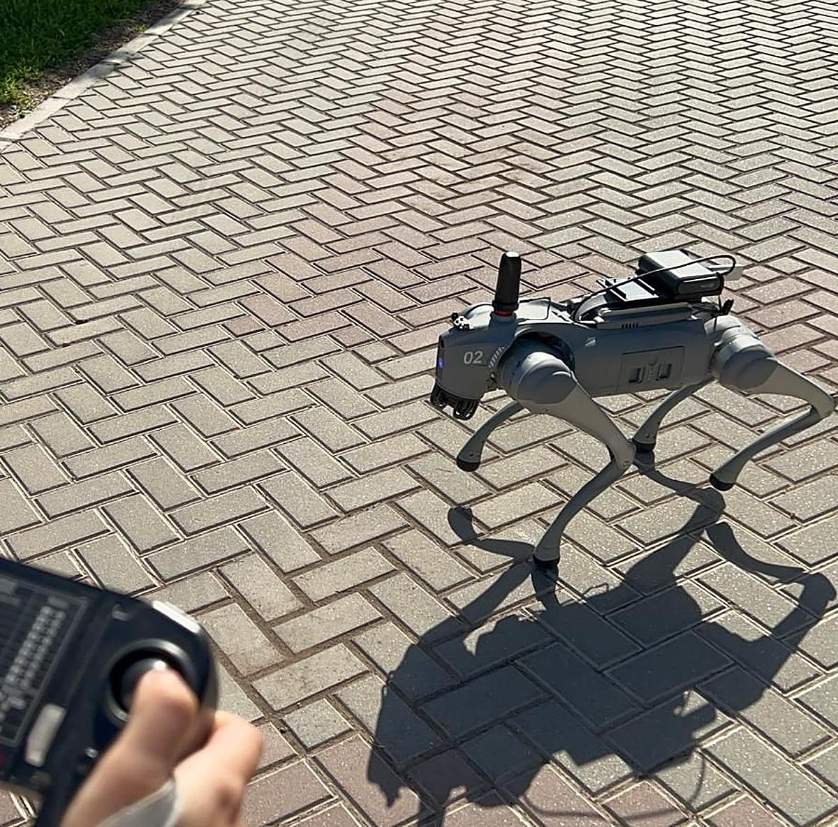 Carmen controla a Paws, el perro robot de la UA.