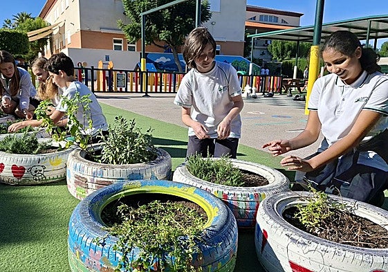 El alumnado de ELIS Villamartín desarrolla proyectos científicos y ambientales para construir un futuro más sostenible desde el aula.