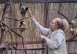 Una de las veterinarias de Terra Natura Benidorm administra alimentos con vitaminas.