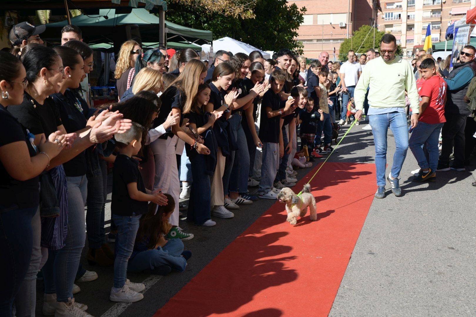 La Navidad se adelanta en Alicante en forma de mercadillo solidario