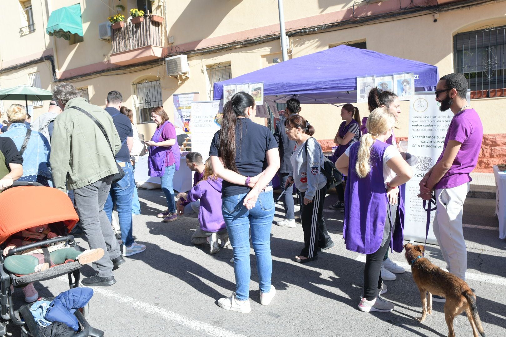 La Navidad se adelanta en Alicante en forma de mercadillo solidario