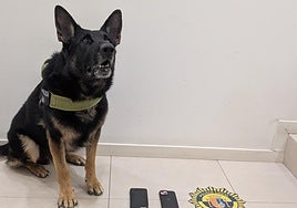 El agente 'Kosmo', con el alijo incautado.