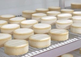 Mommus Foods colabora en BOILÀ II para impulsar nuevas estructuras grasas sostenibles aplicadas a productos alimentarios y cosméticos.