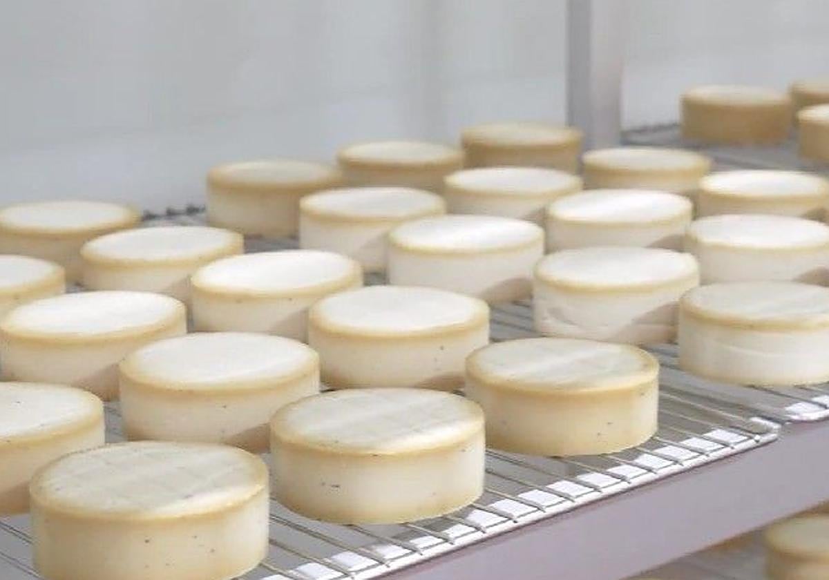 Mommus Foods colabora en BOILÀ II para impulsar nuevas estructuras grasas sostenibles aplicadas a productos alimentarios y cosméticos.