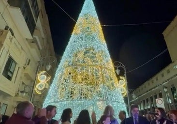 VÍDEO: Así ha sido el encendido de las luces de Navidad y del gran árbol de Alicante