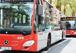 Autobuses urbanos de Alicante.