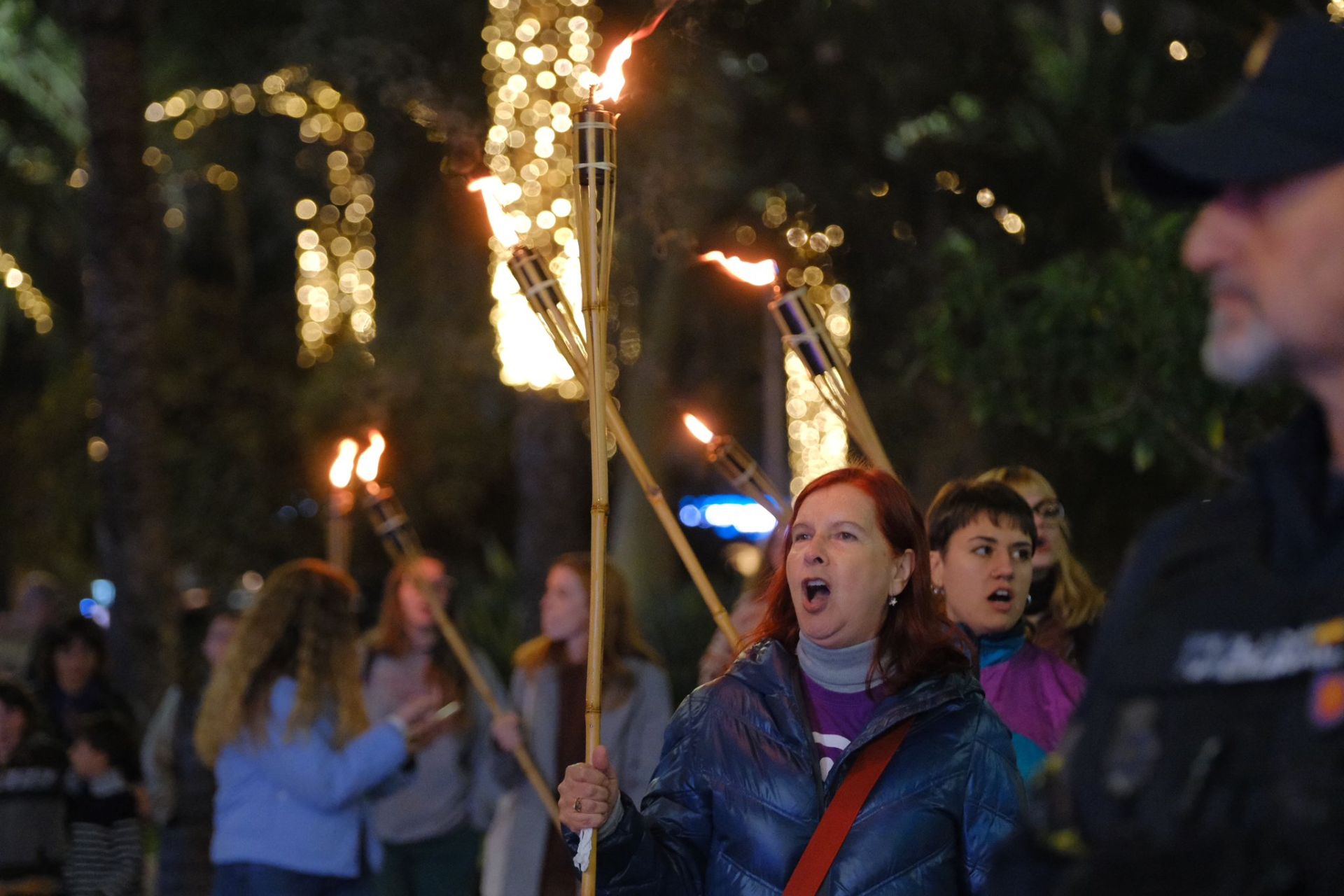 Las antorchas toman el centro de Alicante en una marcha multitudinaria por el 25N