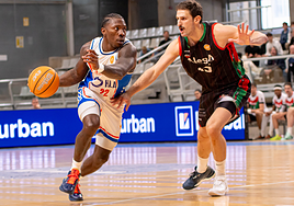 Imagen del partido HLA Alicante-Alega Cantabria.