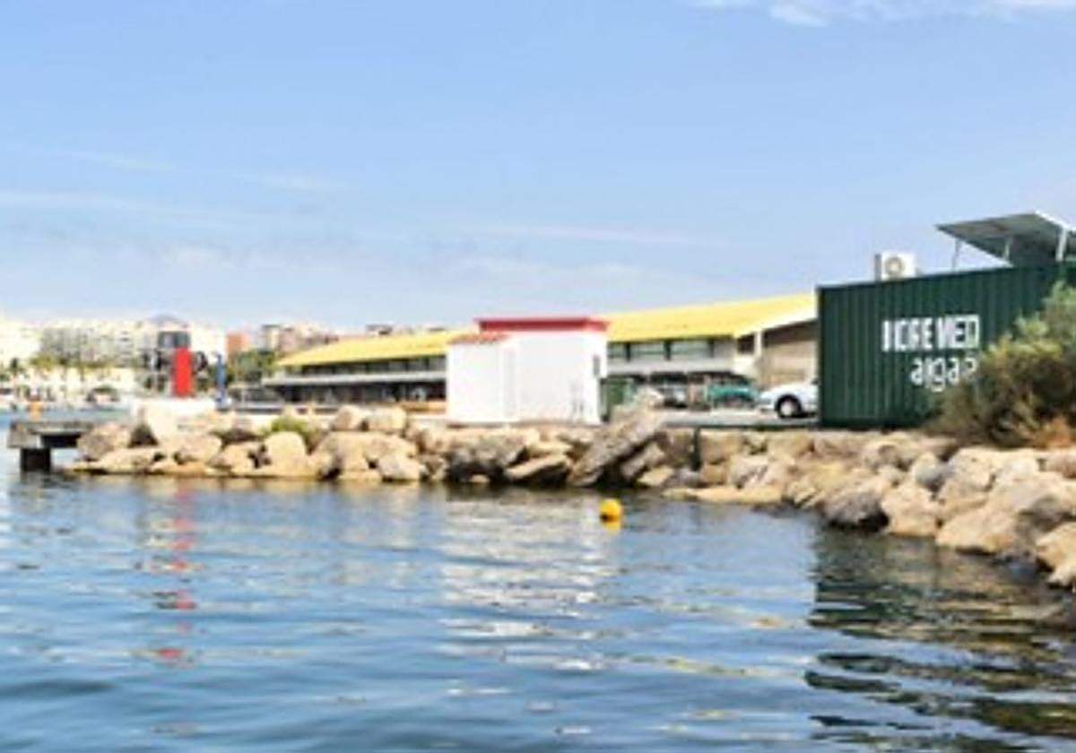 Biofiltro instalado en la dársena pesquera.
