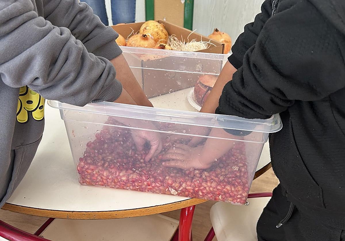 Students from Early Childhood Education participate in workshops dedicated to the Mollar pomegranate of Elche.