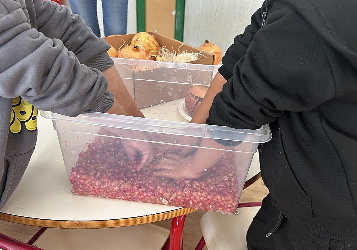 Alumnado de Educación Infantil participa en los talleres de la campaña escolar dedicada a la granada mollar de Elche.