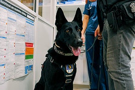 La clínica veterinaria que cuida a los perros policía de Alicante, en imágenes