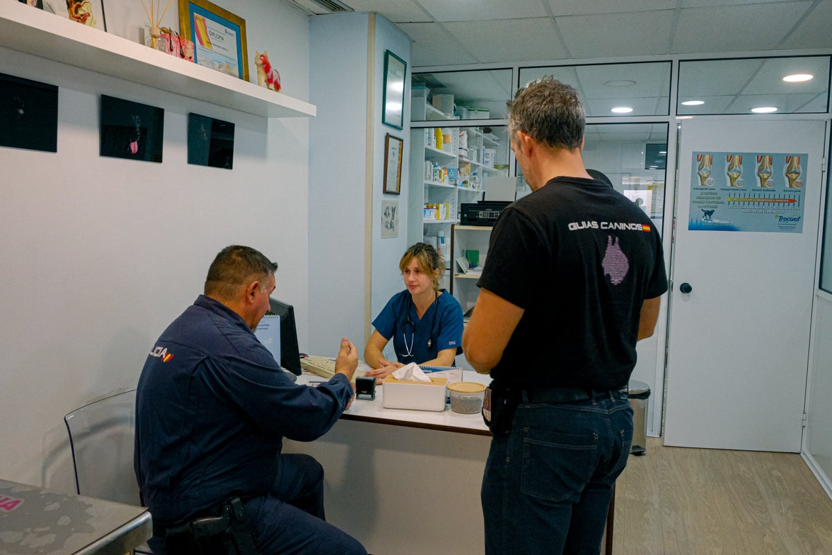 La clínica veterinaria que cuida a los perros policía de Alicante, en imágenes