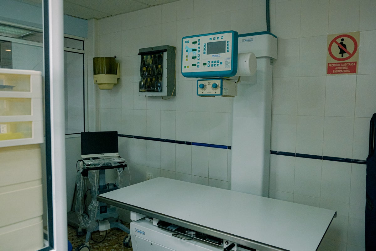 La clínica veterinaria que cuida a los perros policía de Alicante, en imágenes