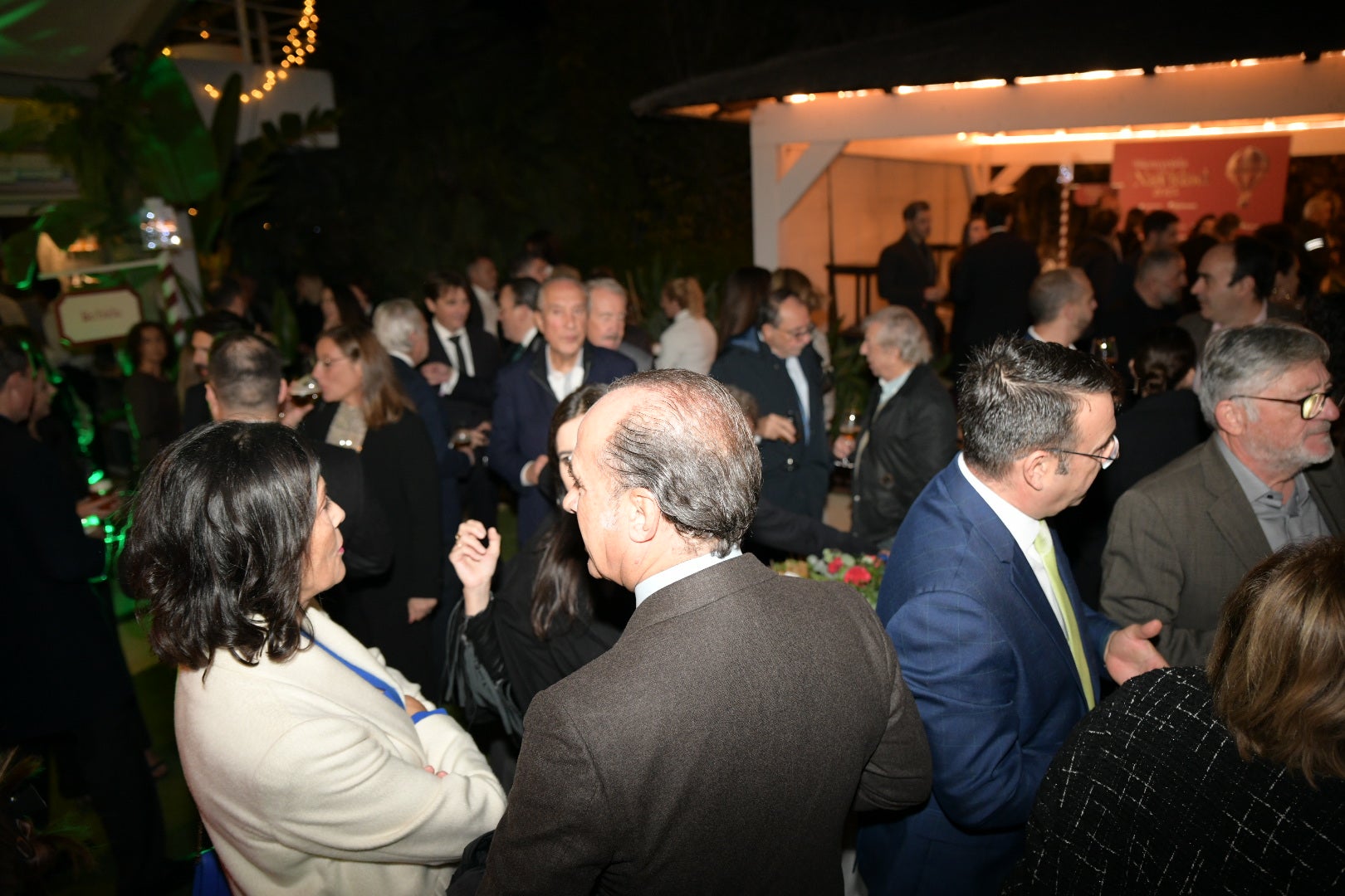 Cientos de asistentes dan la &#039;Bienvenida a la Navidad&#039; en la gala solidaria de Vectalia