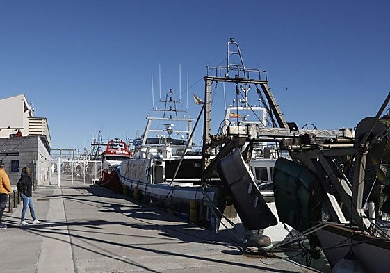 Barcos de pesca amarrados en Dénia.