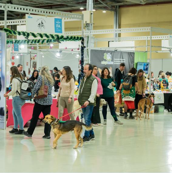 Expomascotas 2025 will bring together thousands of families, professionals, and animal lovers at IFA for a weekend full of activities and exhibitions.