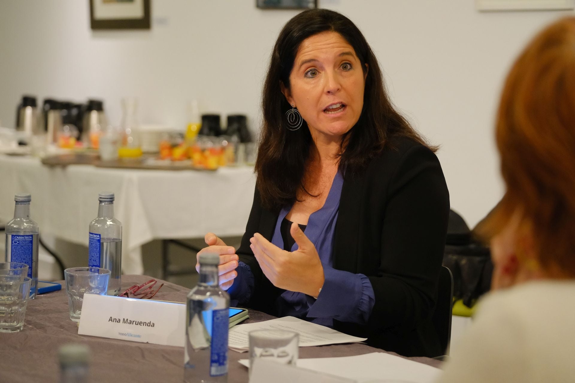 La mesa de expertos del Plan VIVE, en imágenes