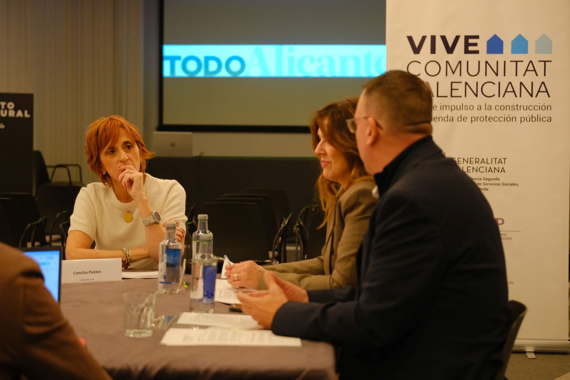 La mesa de expertos del Plan VIVE, en imágenes