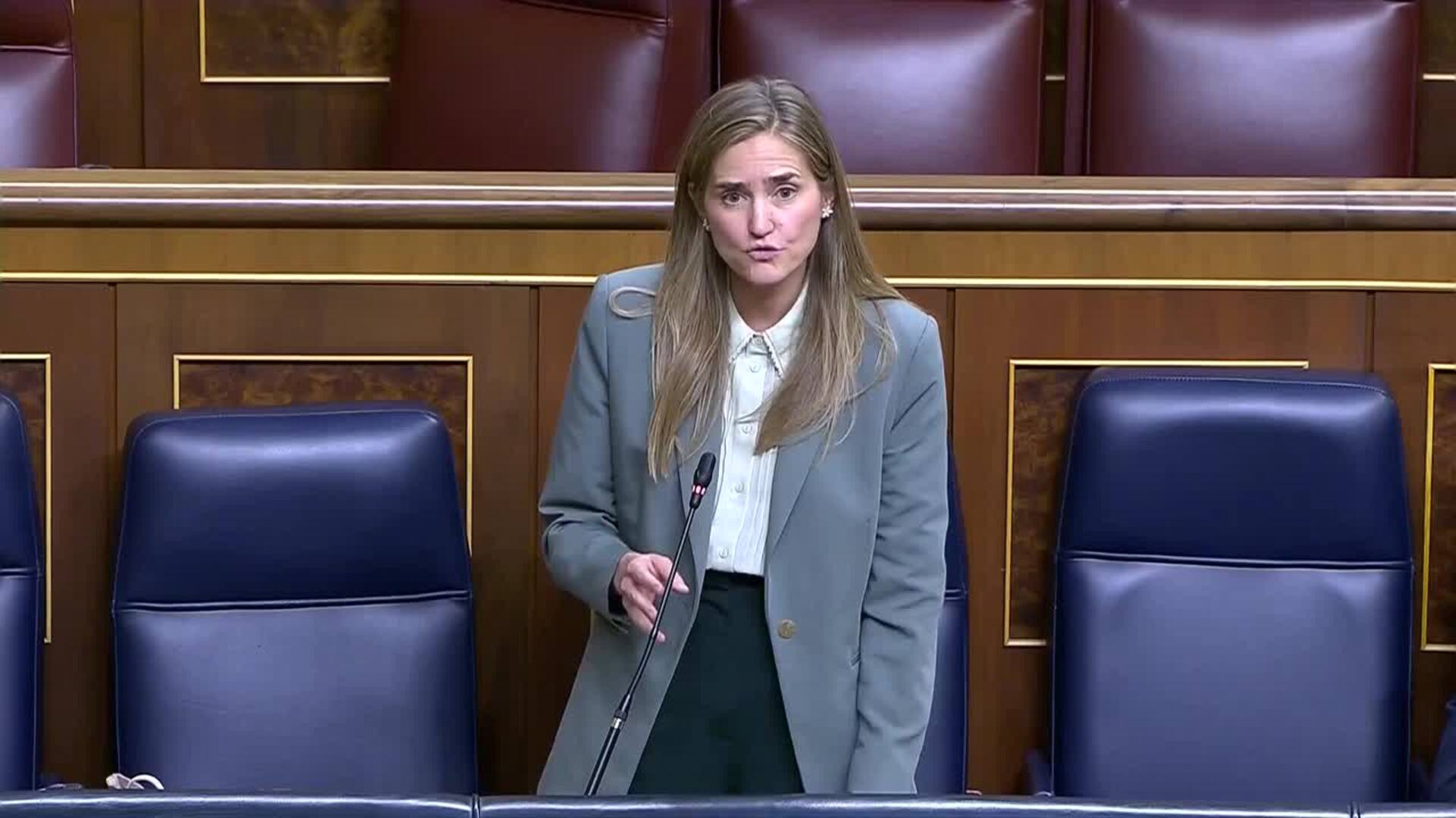 Aagesen defiende que REE es "jurídicamente privada" y ejerce sus funciones con independencia
