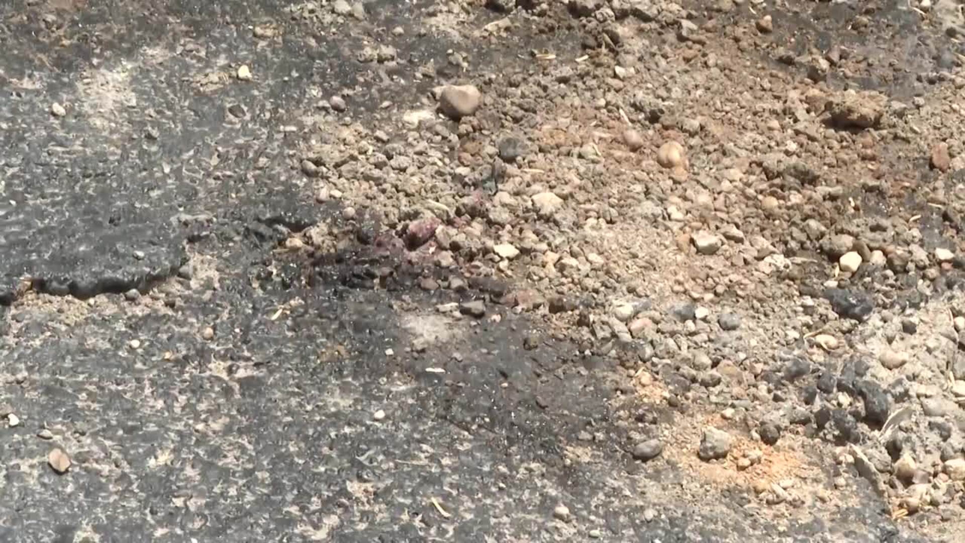 Consternación en Isla Mayor tras la muerte de un menor de 17 años apuñalado de madrugada