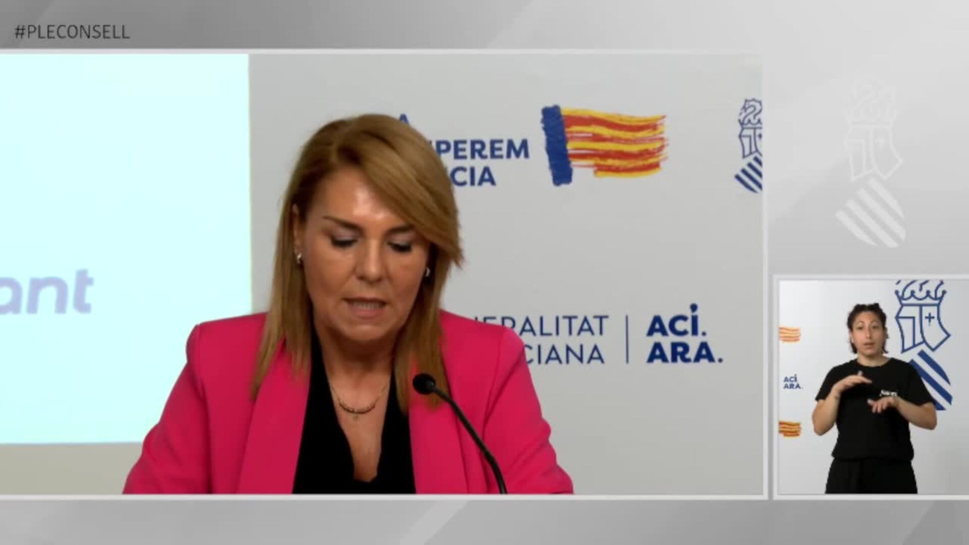 Gobierno valenciano subraya que Ángel dimite "porque es incapaz de demostrar su título"