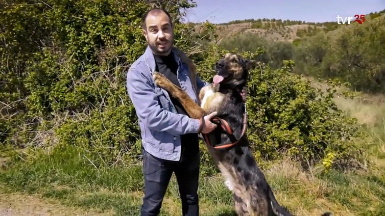 Friskie necesita un hogar